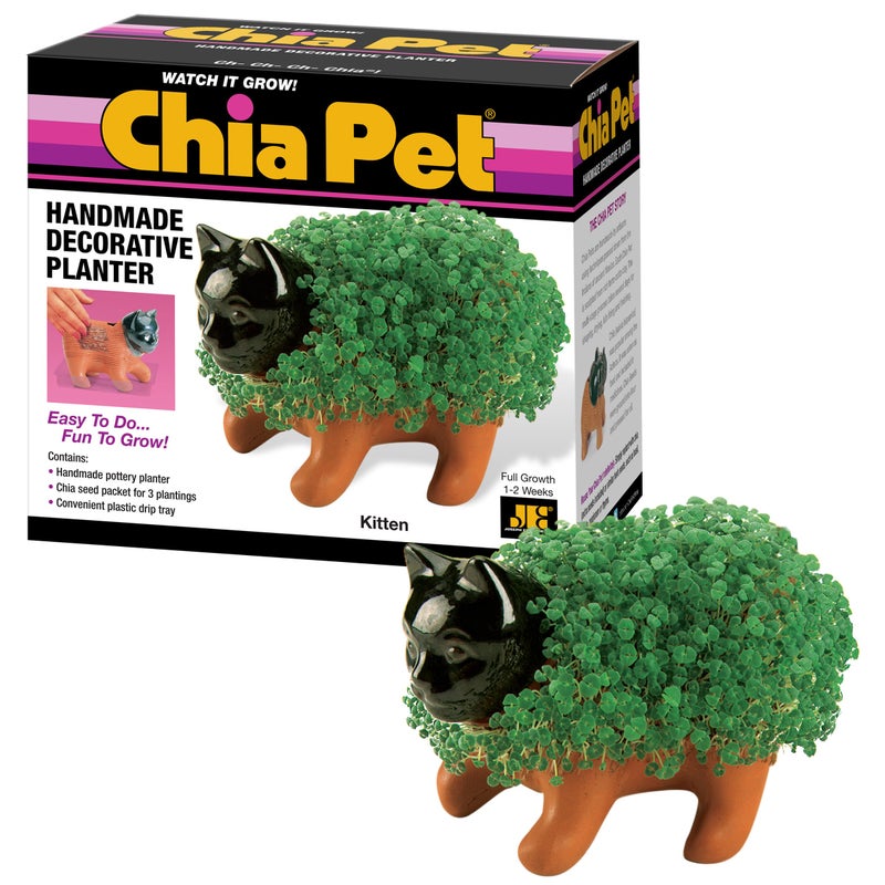 Chia Pet Kitten with Seed Pack, Decorative Pottery Planter, Easy to Do and Fun to Grow, Novelty Gift, Perfect for Any Occasion - Image 1